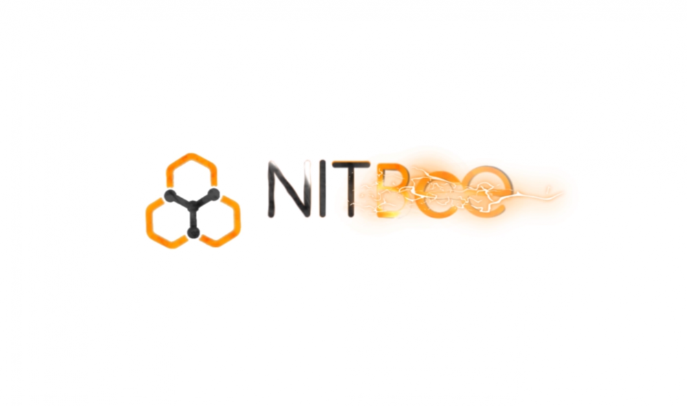 NITBee logo