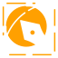 Graphic Design